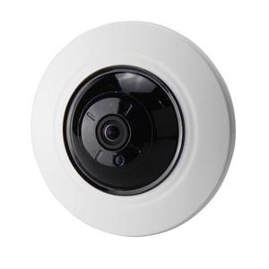 Holars 405 - 6 megapiksel, PoE, Fisheye linse
